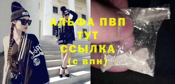 таблы Бородино