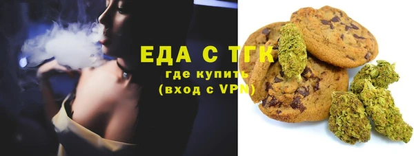 амф Верхний Тагил