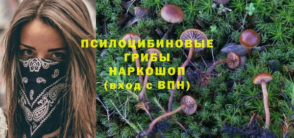 таблы Бородино