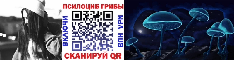Галлюциногенные грибы Psilocybe  Гусев 